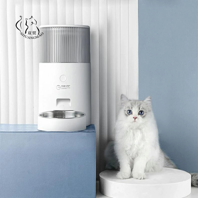 cat with automatic pet feeder
