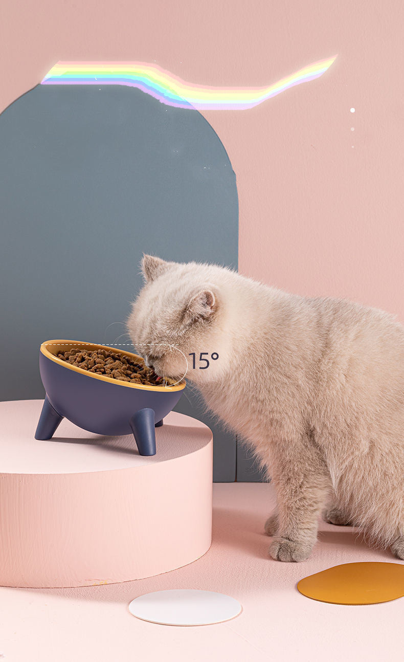 feeding bowls for cats 