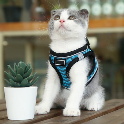 Cat wearing Reflective Chest Harness