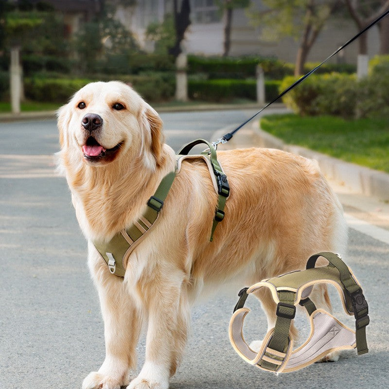 Harness Pet Hand Holding Rope